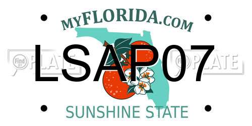 LSAP07 Florida License Plate