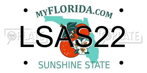 LSAS22 Florida License Plate