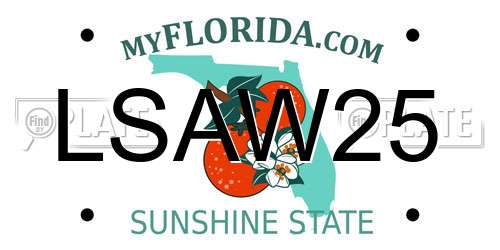 LSAW25 Florida License Plate