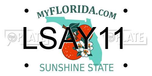 LSAY11 Florida License Plate