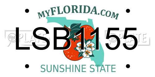 LSB1155 Florida License Plate