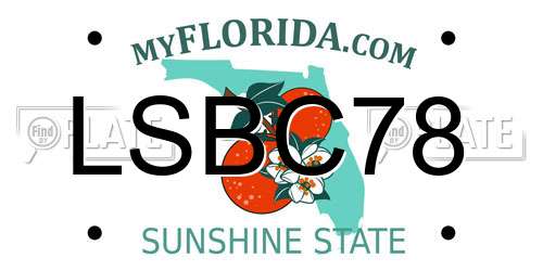 LSBC78 Florida License Plate