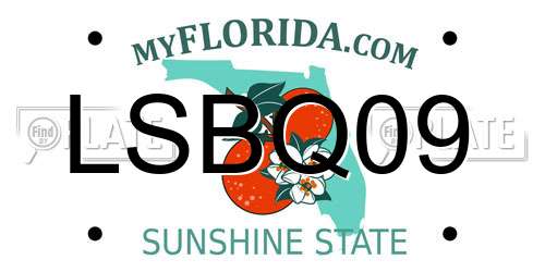 LSBQ09 Florida License Plate