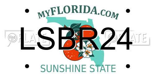 LSBR24 Florida License Plate