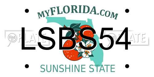 LSBS54 Florida License Plate