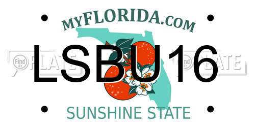 LSBU16 Florida License Plate