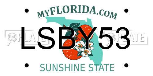 LSBY53 Florida License Plate