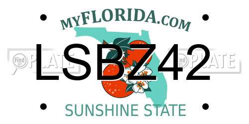 LSBZ42 Florida License Plate