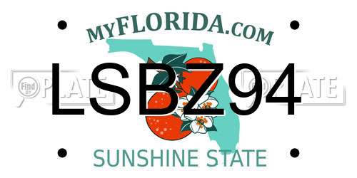LSBZ94 Florida License Plate