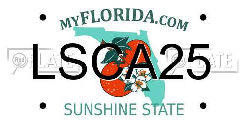 LSCA25 Florida License Plate