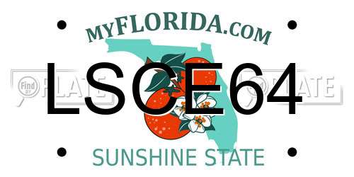 LSCE64 Florida License Plate