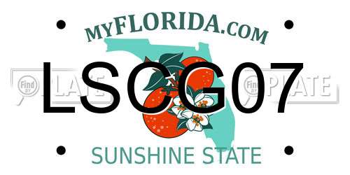 LSCG07 Florida License Plate