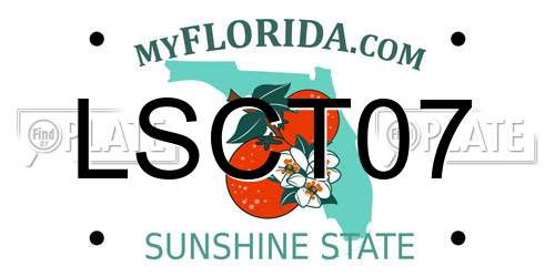 LSCT07 Florida License Plate