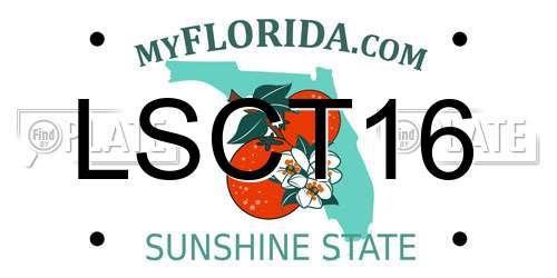 LSCT16 Florida License Plate
