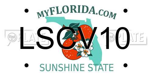LSCV10 Florida License Plate