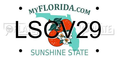 LSCV29 Florida License Plate