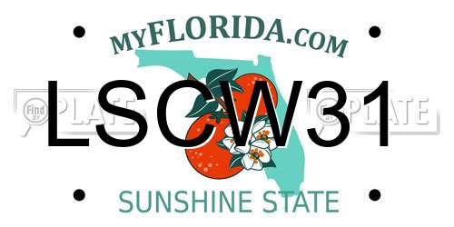 LSCW31 Florida License Plate
