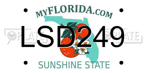 LSD249 Florida License Plate
