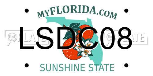 LSDC08 Florida License Plate