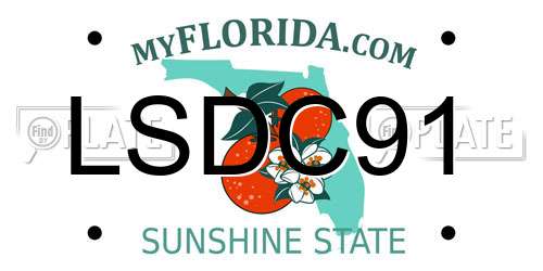 LSDC91 Florida License Plate