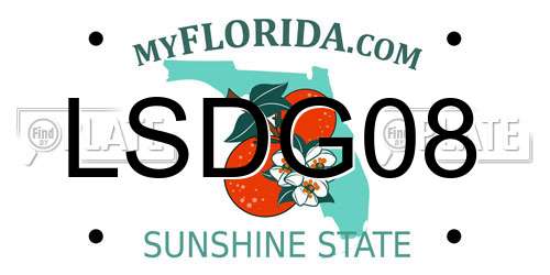 LSDG08 Florida License Plate