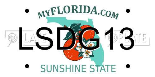 LSDG13 Florida License Plate