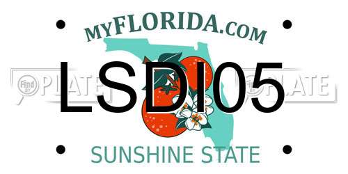 LSDI05 Florida License Plate