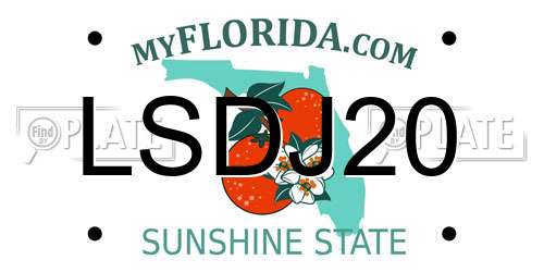 LSDJ20 Florida License Plate