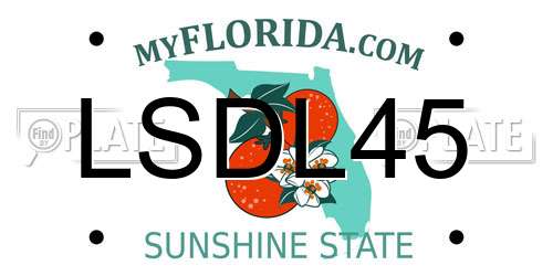 LSDL45 Florida License Plate
