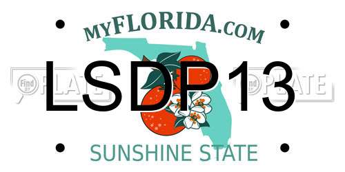 LSDP13 Florida License Plate