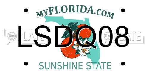 LSDQ08 Florida License Plate