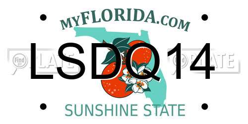 LSDQ14 Florida License Plate