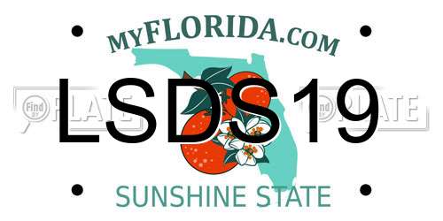 LSDS19 Florida License Plate