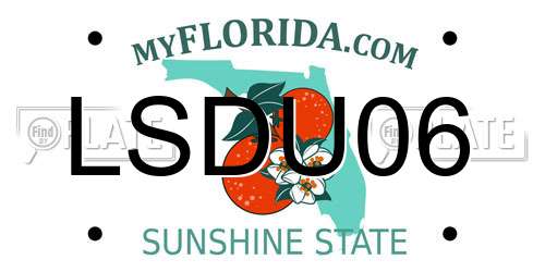 LSDU06 Florida License Plate