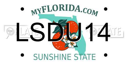 LSDU14 Florida License Plate