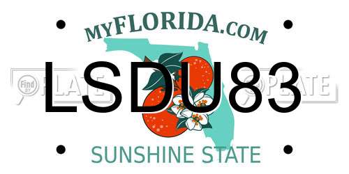LSDU83 Florida License Plate