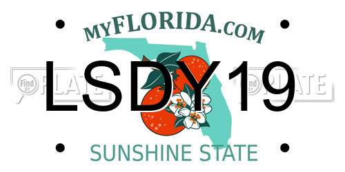 LSDY19 Florida License Plate