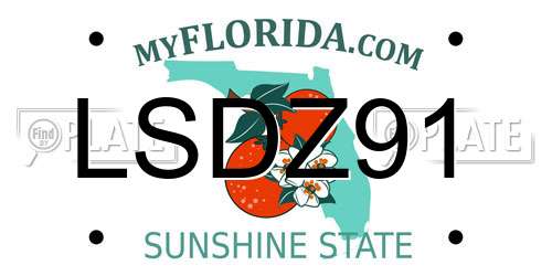 LSDZ91 Florida License Plate