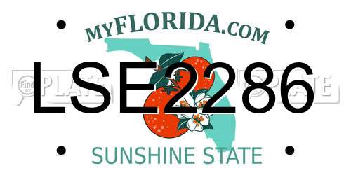 LSE2286 Florida License Plate