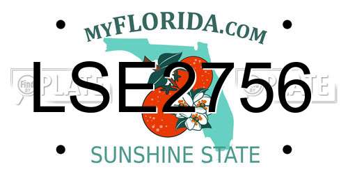 LSE2756 Florida License Plate