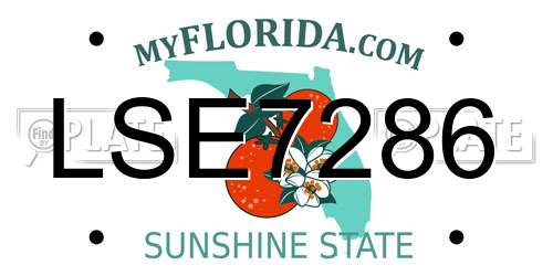 LSE7286 Florida License Plate