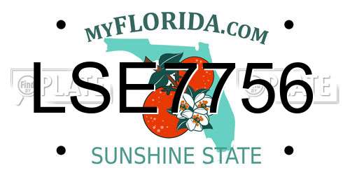 LSE7756 Florida License Plate