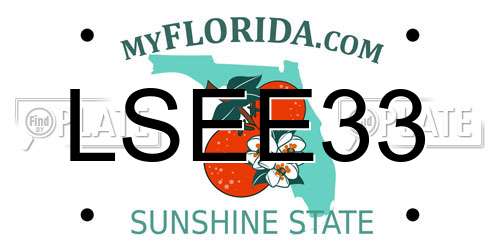 LSEE33 Florida License Plate