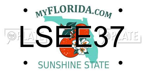 LSEE37 Florida License Plate