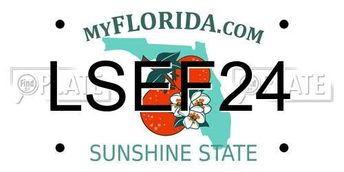 LSEF24 Florida License Plate