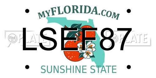 LSEF87 Florida License Plate