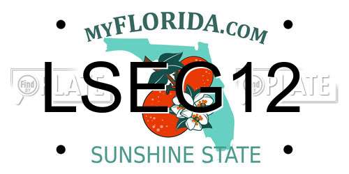 LSEG12 Florida License Plate