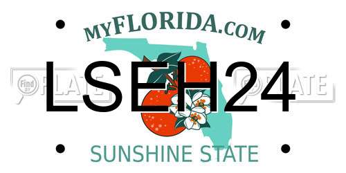 LSEH24 Florida License Plate