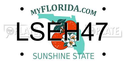 LSEH47 Florida License Plate