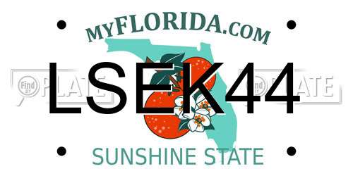 LSEK44 Florida License Plate